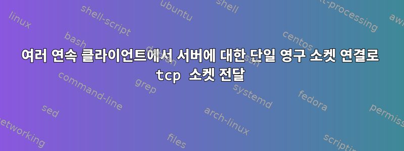 여러 연속 클라이언트에서 서버에 대한 단일 영구 소켓 연결로 tcp 소켓 전달