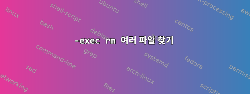 -exec rm 여러 파일 찾기