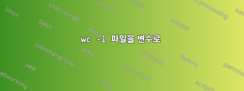 wc -l 파일을 변수로