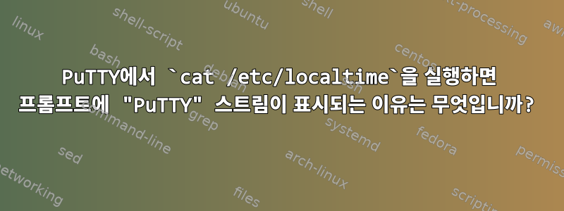 PuTTY에서 `cat /etc/localtime`을 실행하면 프롬프트에 "PuTTY" 스트림이 표시되는 이유는 무엇입니까?