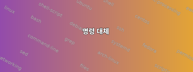 명령 대체