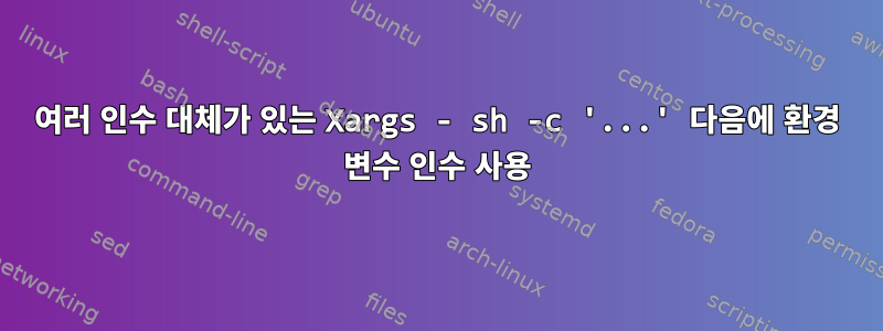 여러 인수 대체가 있는 Xargs - sh -c '...' 다음에 환경 변수 인수 사용