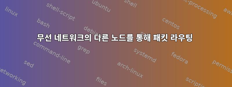 무선 네트워크의 다른 노드를 통해 패킷 라우팅