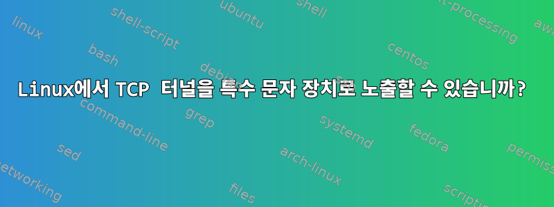 Linux에서 TCP 터널을 특수 문자 장치로 노출할 수 있습니까?