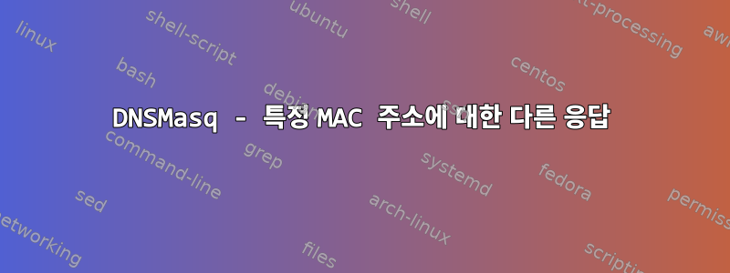 DNSMasq - 특정 MAC 주소에 대한 다른 응답