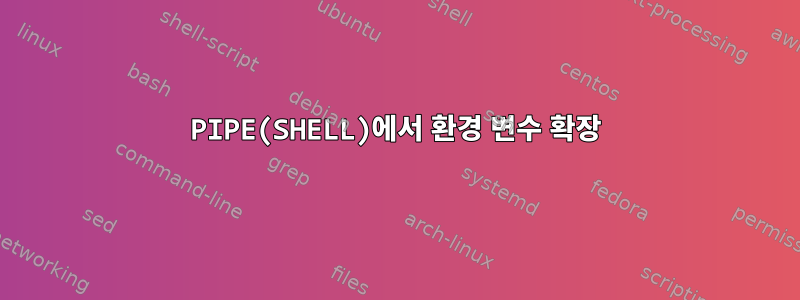 PIPE(SHELL)에서 환경 변수 확장