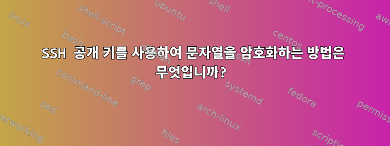 SSH 공개 키를 사용하여 문자열을 암호화하는 방법은 무엇입니까?