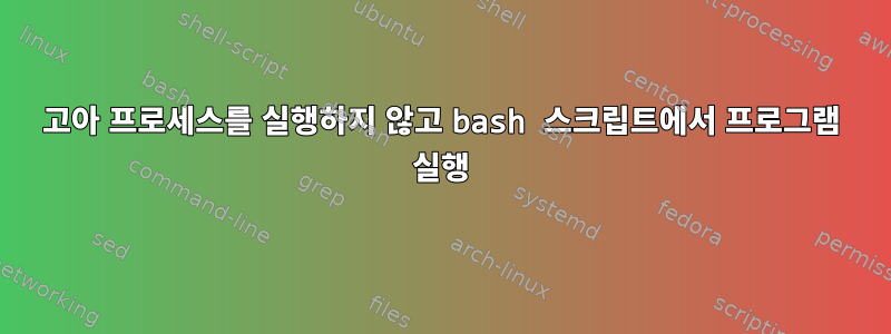 고아 프로세스를 실행하지 않고 bash 스크립트에서 프로그램 실행