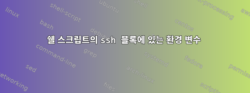 쉘 스크립트의 ssh 블록에 있는 환경 변수