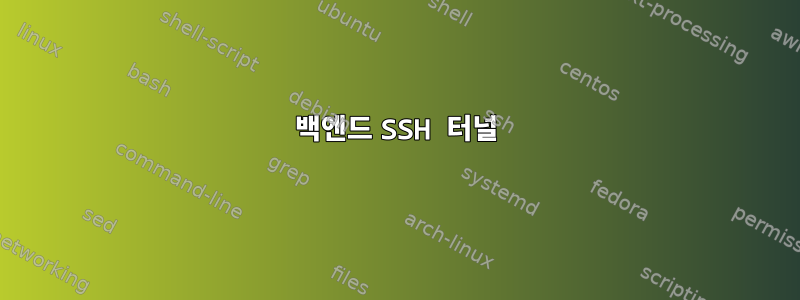 백엔드 SSH 터널