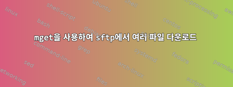 mget을 사용하여 sftp에서 여러 파일 다운로드