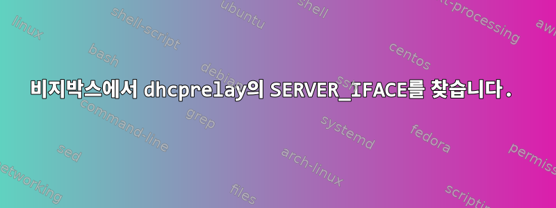 비지박스에서 dhcprelay의 SERVER_IFACE를 찾습니다.