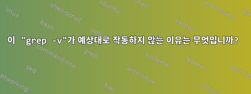 이 "grep -v"가 예상대로 작동하지 않는 이유는 무엇입니까?