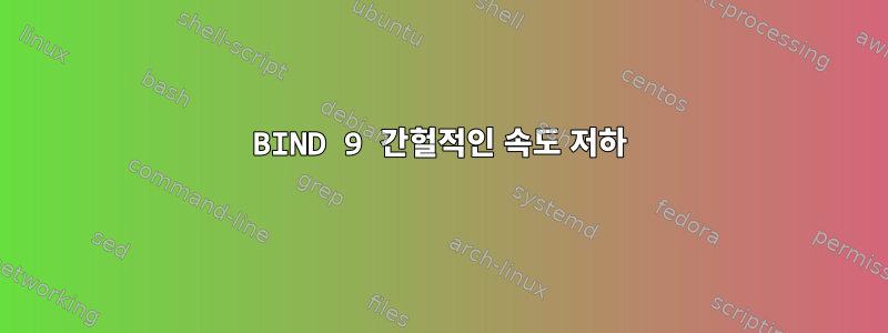 BIND 9 간헐적인 속도 저하