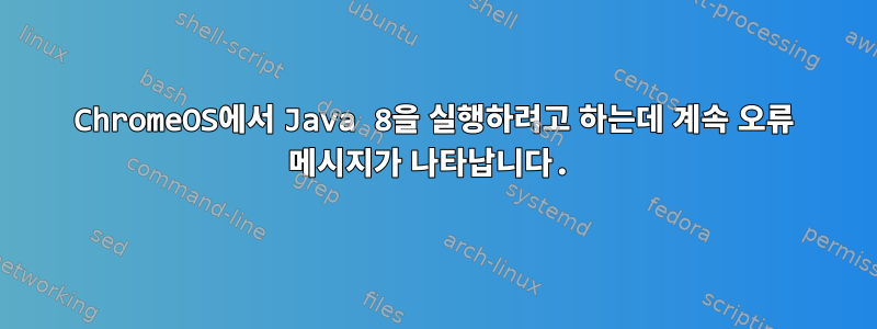 ChromeOS에서 Java 8을 실행하려고 하는데 계속 오류 메시지가 나타납니다.