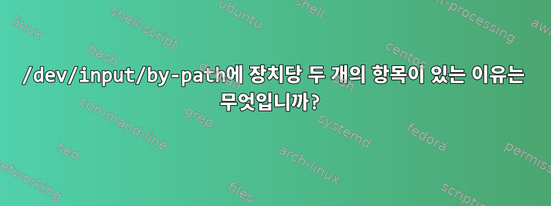 /dev/input/by-path에 장치당 두 개의 항목이 있는 이유는 무엇입니까?