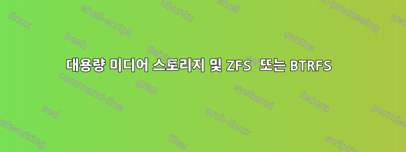 대용량 미디어 스토리지 및 ZFS 또는 BTRFS