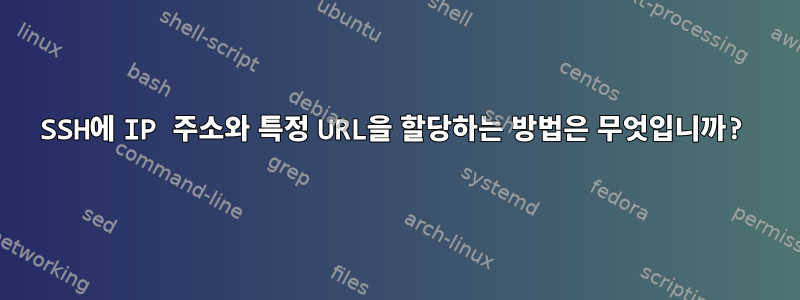 SSH에 IP 주소와 특정 URL을 할당하는 방법은 무엇입니까?