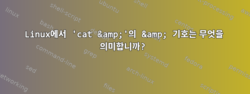 Linux에서 'cat &amp;'의 &amp; 기호는 무엇을 의미합니까?