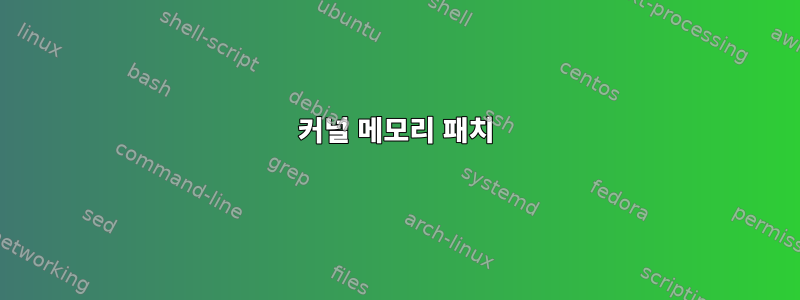 커널 메모리 패치