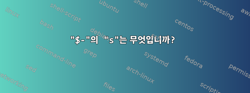 "$-"의 "s"는 무엇입니까?