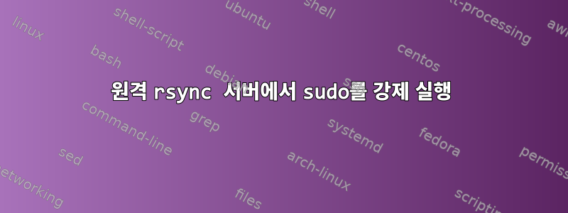 원격 rsync 서버에서 sudo를 강제 실행