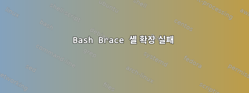 Bash Brace 셸 확장 실패