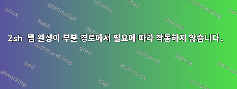 Zsh 탭 완성이 부분 경로에서 필요에 따라 작동하지 않습니다.