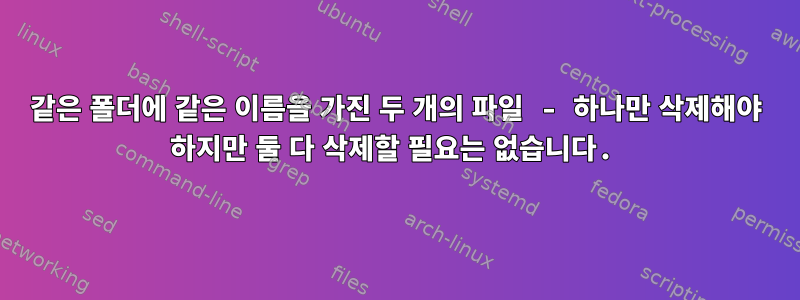 같은 폴더에 같은 이름을 가진 두 개의 파일 - 하나만 삭제해야 하지만 둘 다 삭제할 ​​필요는 없습니다.