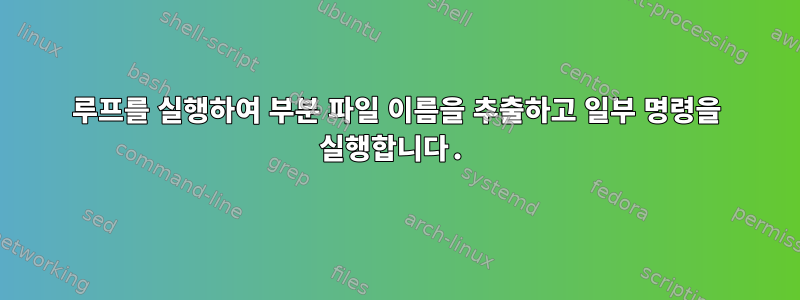 루프를 실행하여 부분 파일 이름을 추출하고 일부 명령을 실행합니다.