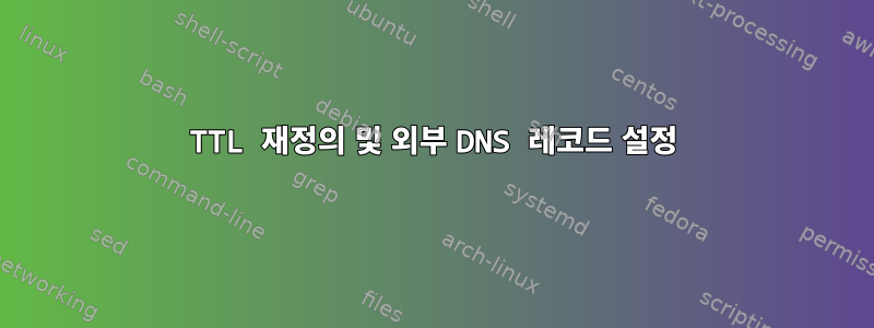 TTL 재정의 및 외부 DNS 레코드 설정