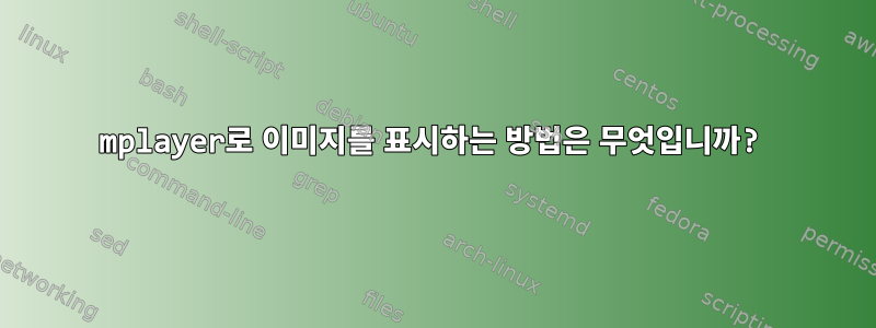 mplayer로 이미지를 표시하는 방법은 무엇입니까?