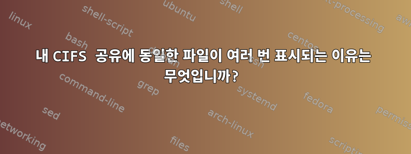 내 CIFS 공유에 동일한 파일이 여러 번 표시되는 이유는 무엇입니까?