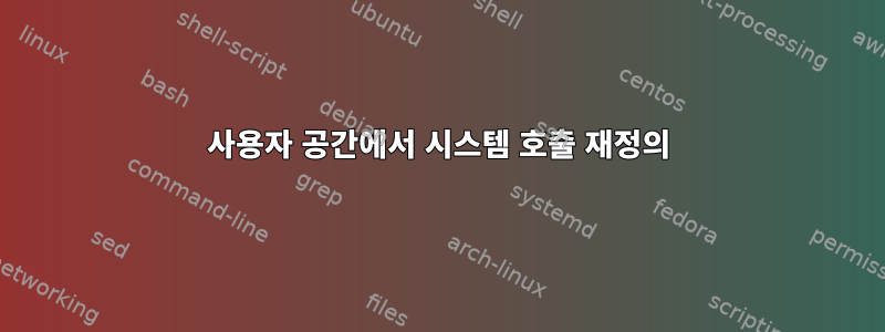 사용자 공간에서 시스템 호출 재정의