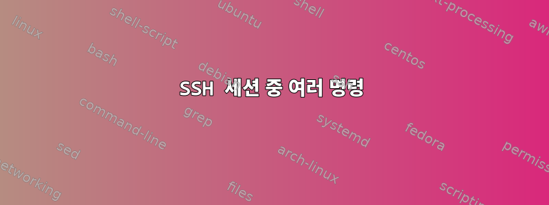 SSH 세션 중 여러 명령