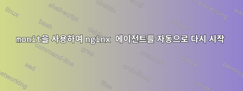 monit을 사용하여 nginx 에이전트를 자동으로 다시 시작