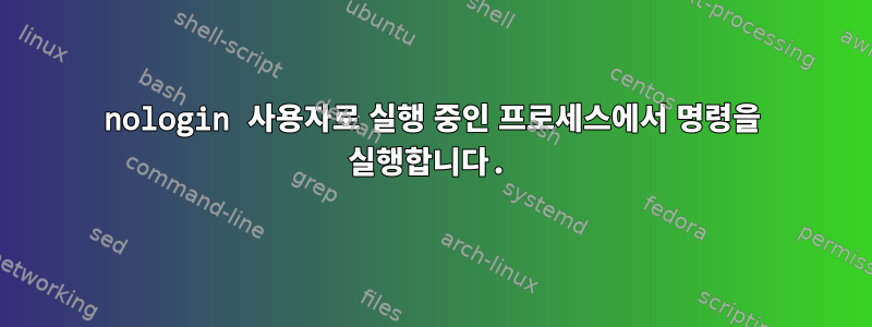 nologin 사용자로 실행 중인 프로세스에서 명령을 실행합니다.