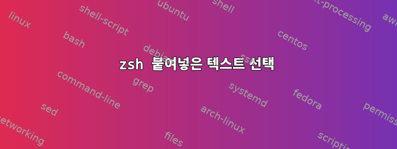 zsh 붙여넣은 텍스트 선택