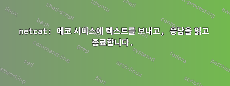 netcat: 에코 서비스에 텍스트를 보내고, 응답을 읽고 종료합니다.