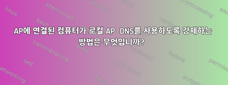 AP에 연결된 컴퓨터가 로컬 AP DNS를 사용하도록 강제하는 방법은 무엇입니까?