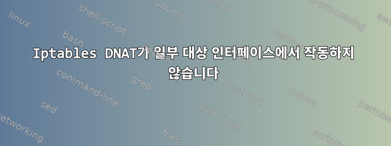 Iptables DNAT가 일부 대상 인터페이스에서 작동하지 않습니다