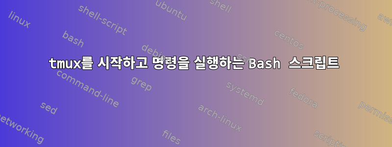 tmux를 시작하고 명령을 실행하는 Bash 스크립트