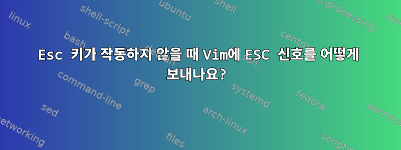 Esc 키가 작동하지 않을 때 Vim에 ESC 신호를 어떻게 보내나요?