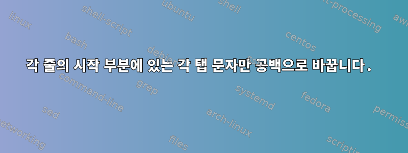 각 줄의 시작 부분에 있는 각 탭 문자만 공백으로 바꿉니다.