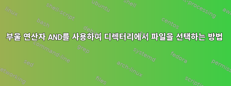 부울 연산자 AND를 사용하여 디렉터리에서 파일을 선택하는 방법