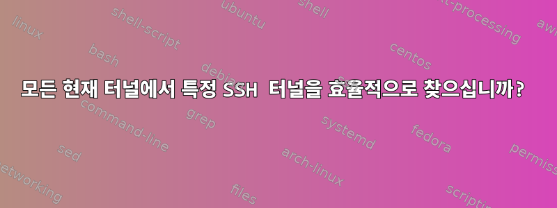 모든 현재 터널에서 특정 SSH 터널을 효율적으로 찾으십니까?