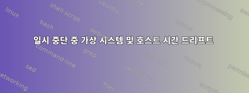 일시 중단 중 가상 시스템 및 호스트 시간 드리프트