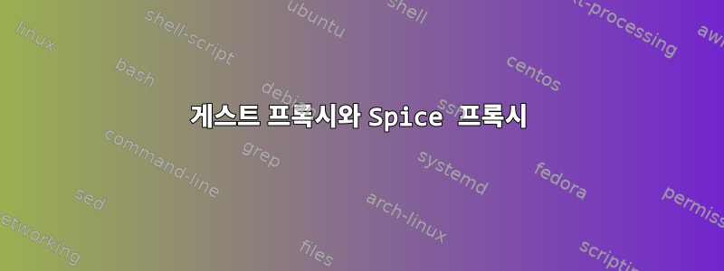 게스트 프록시와 Spice 프록시