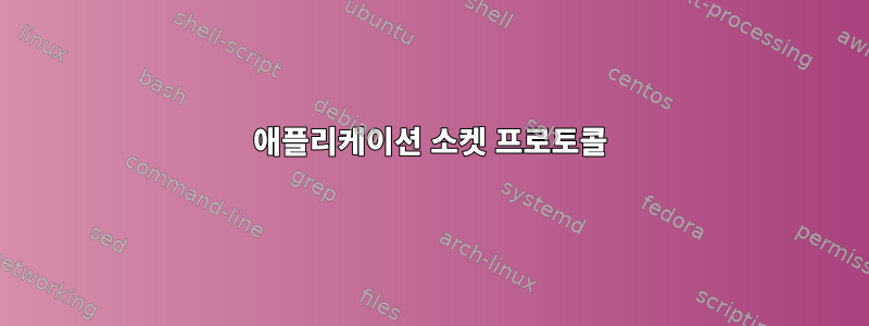 애플리케이션 소켓 프로토콜