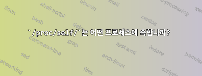 `/proc/self/`는 어떤 프로세스에 속합니까?